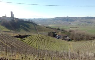 Come è noto i lubrificanti per agricoltura trattati da Cuneo Lube sono ottimali per trattori, mietitrici, spandiconcime e seminatrici.