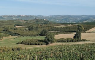 Agricoltura caldo lubrificanti